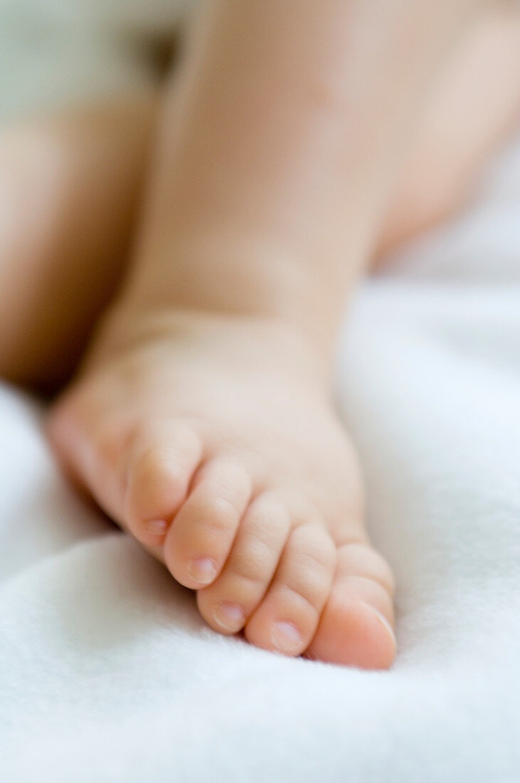 Baby's foot