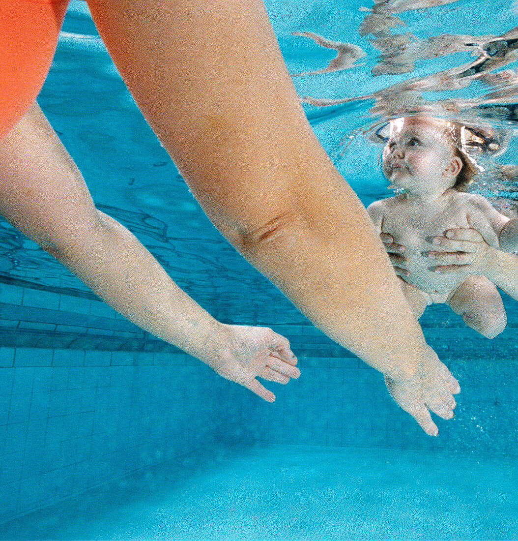 Baby swimming with its mother