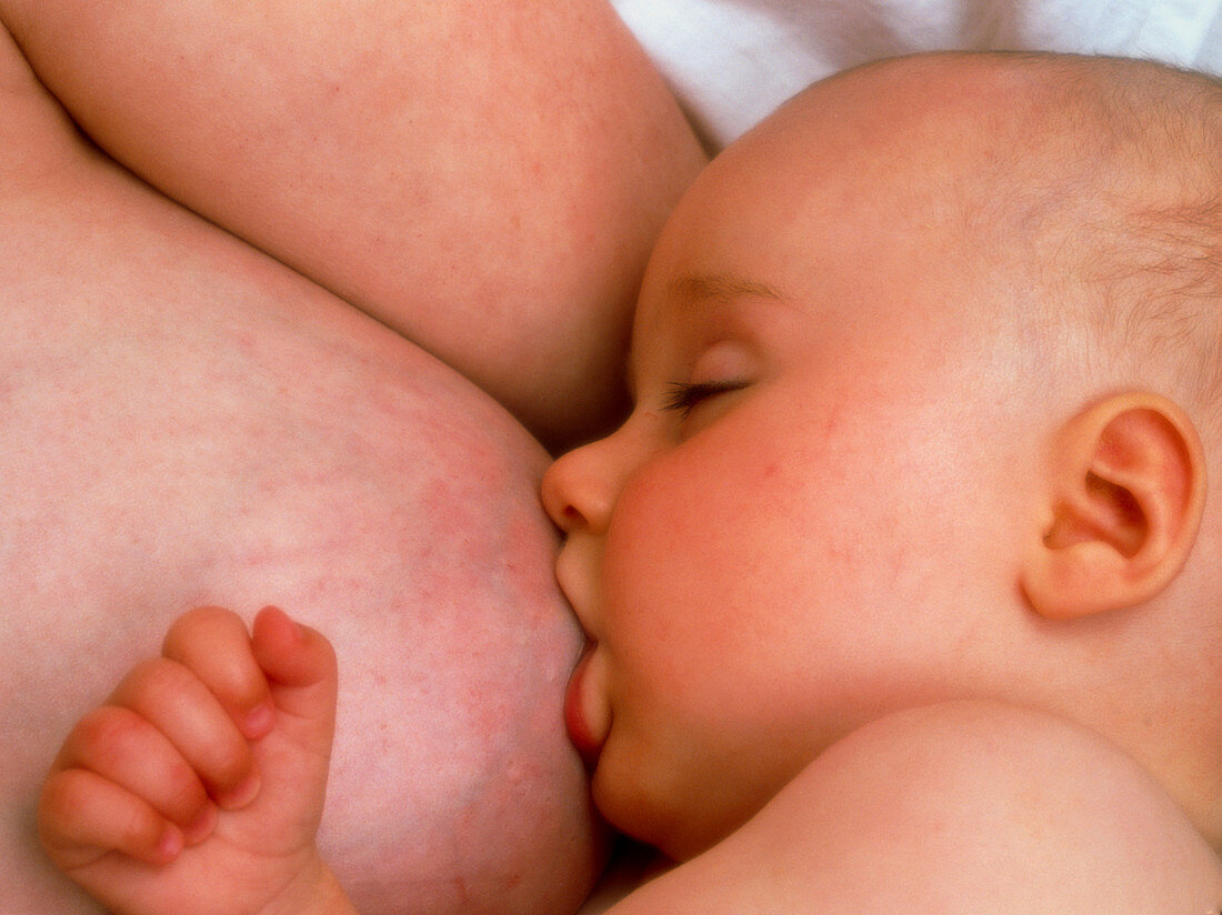 Two month old baby girl breast-feeding