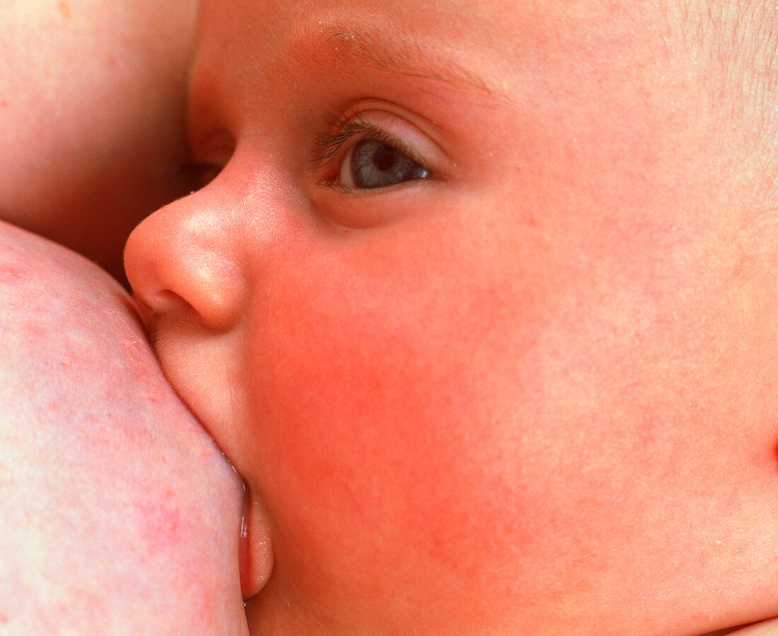 Close-up of a baby feeding at her mother's breast