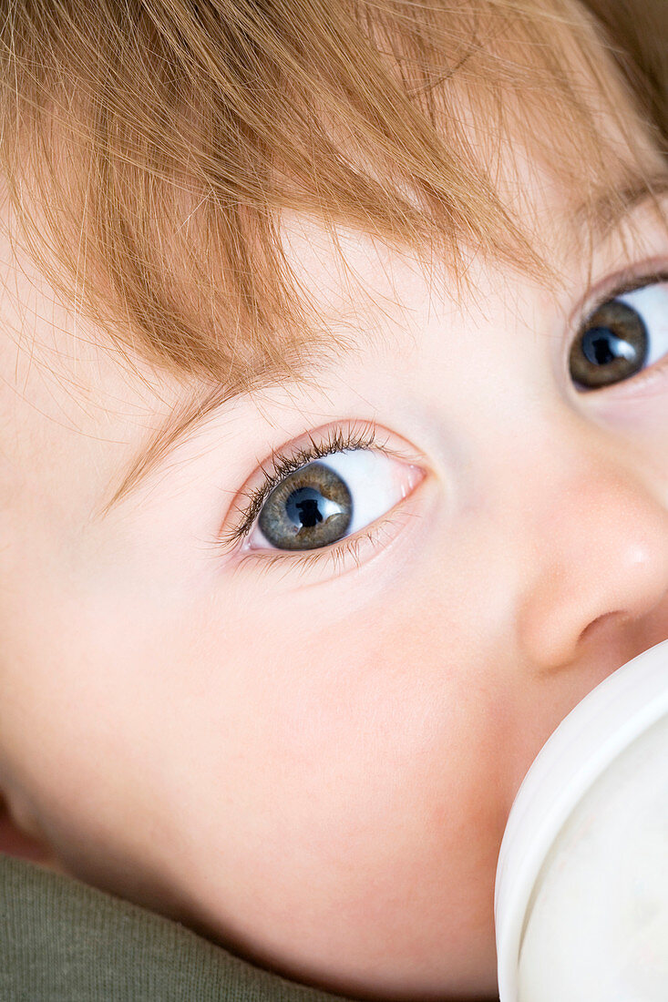 Toddler drinking milk