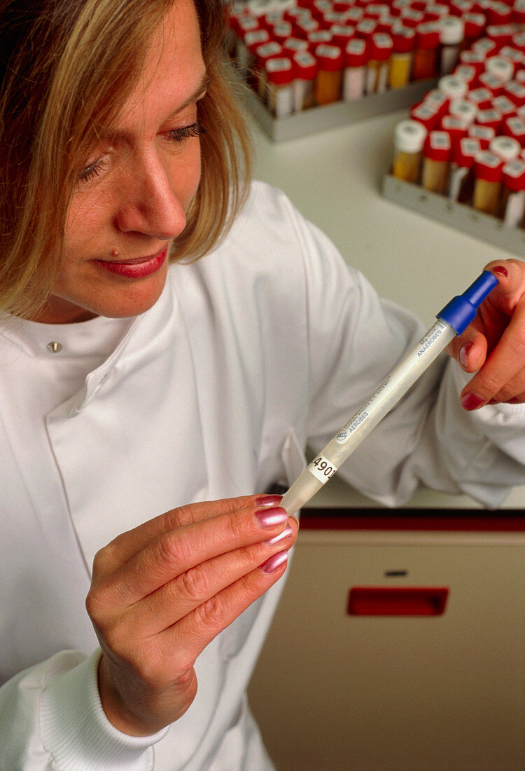 Female medical technician holding a vaginal swab