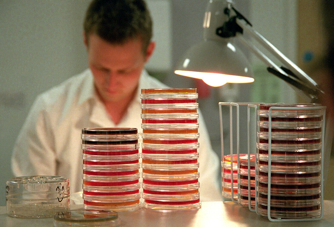 Bacteria research