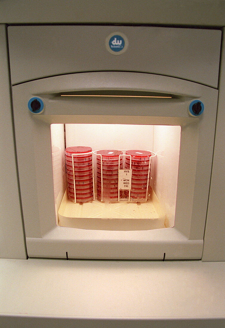 Microbiology incubator