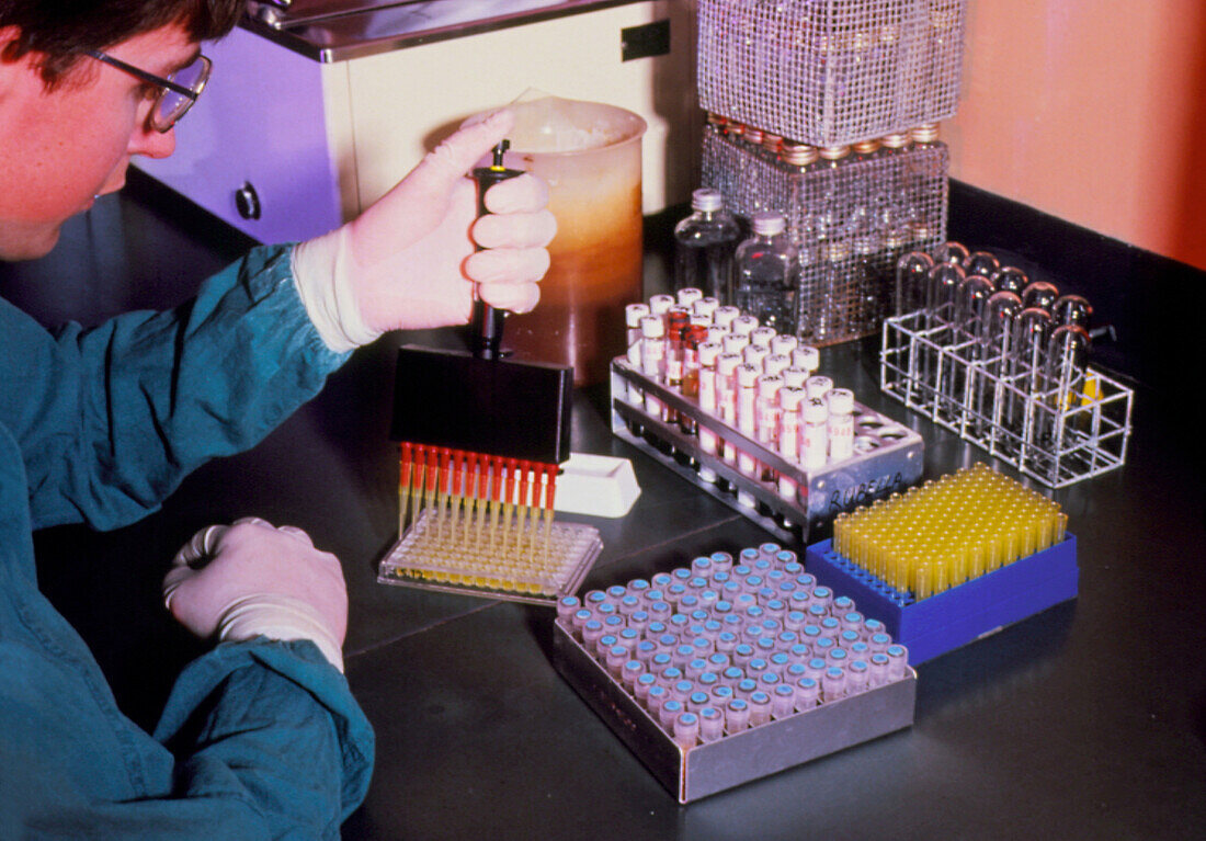 Microbiologist performing ELISA test