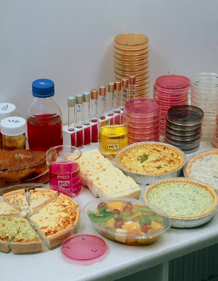 Microbiology tests in prepared foods industry