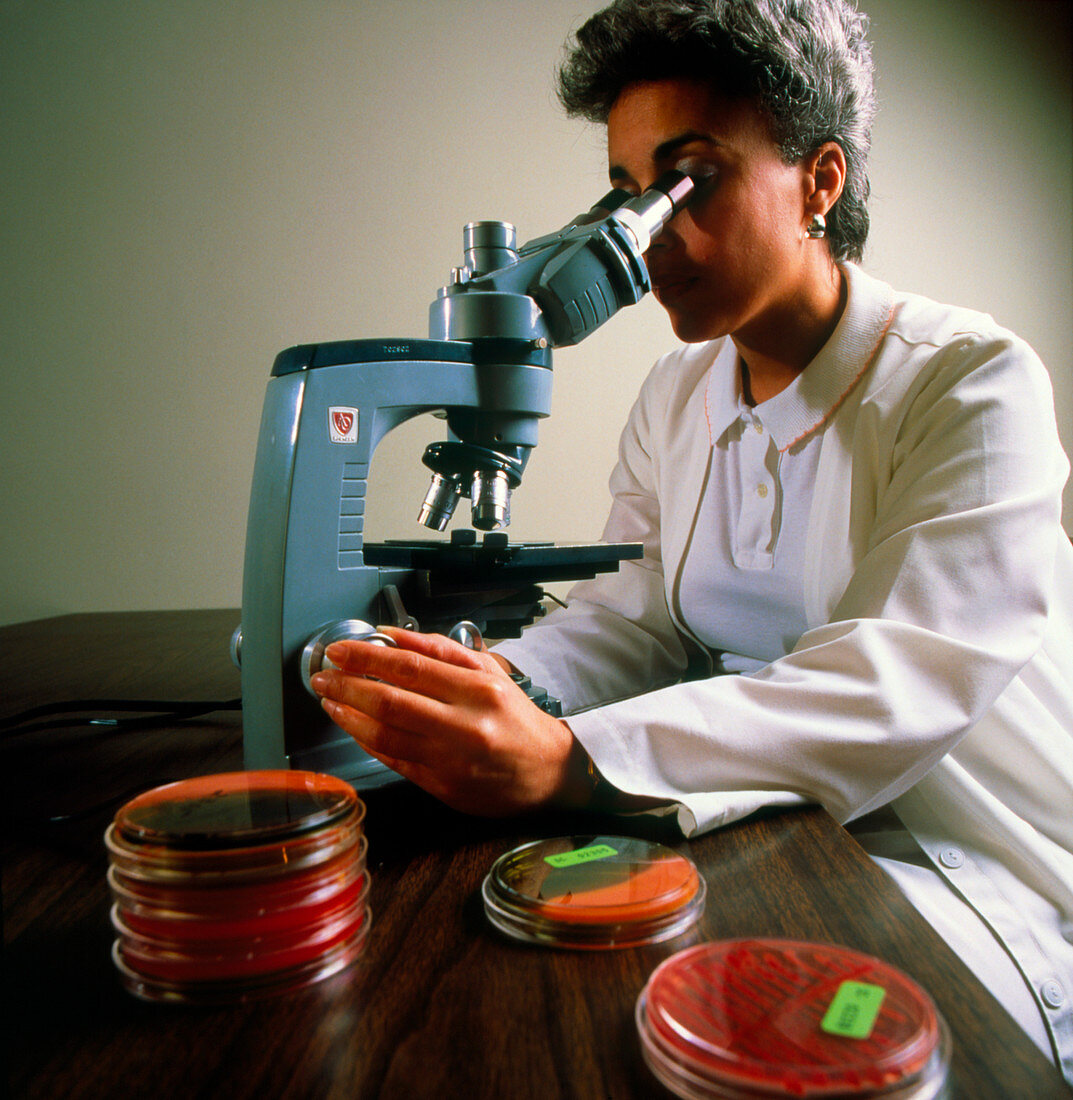 Laboratory technician at microscope