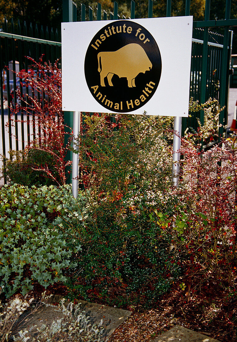 Institute for Animal Health sign
