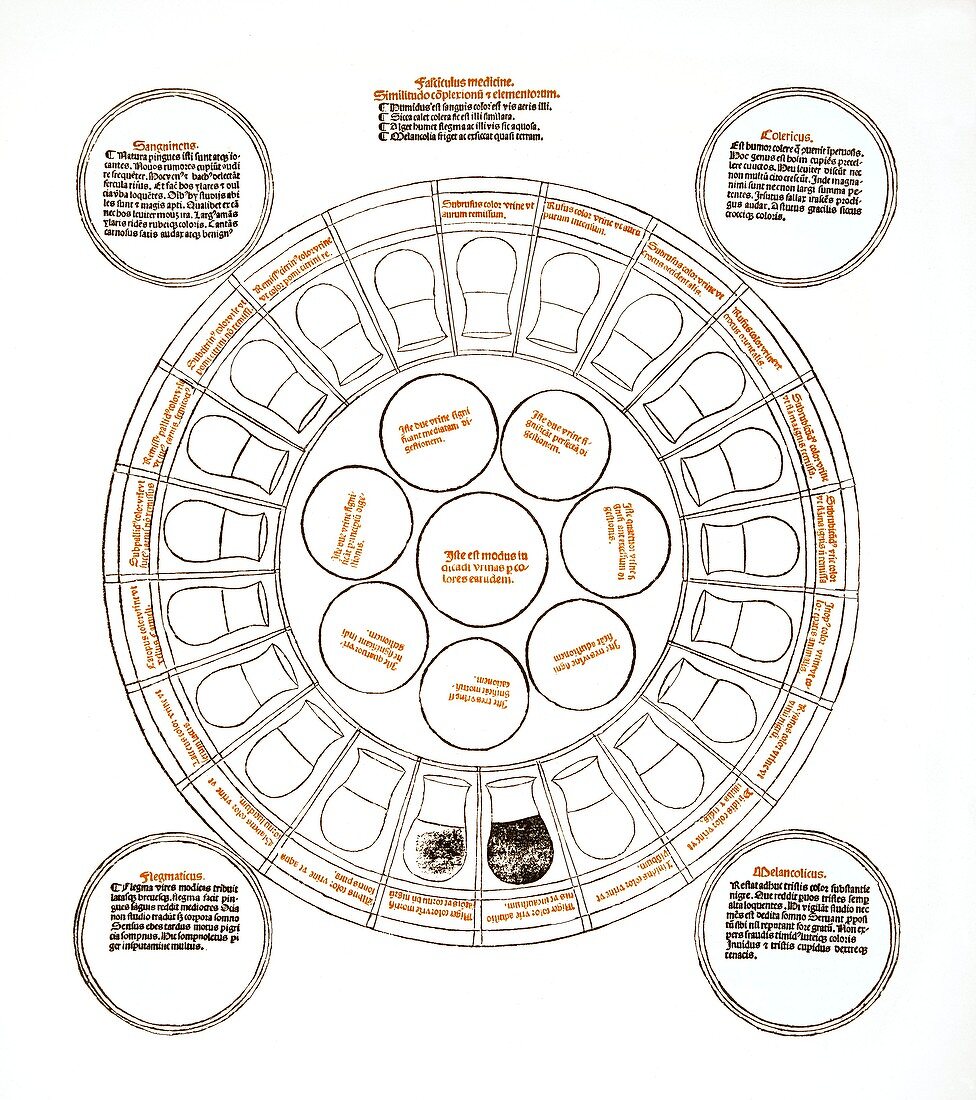 Medieval urine wheel and the four humours