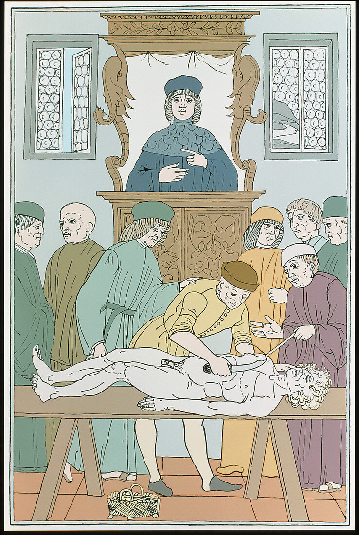 Artwork of a 15th century dissection lesson