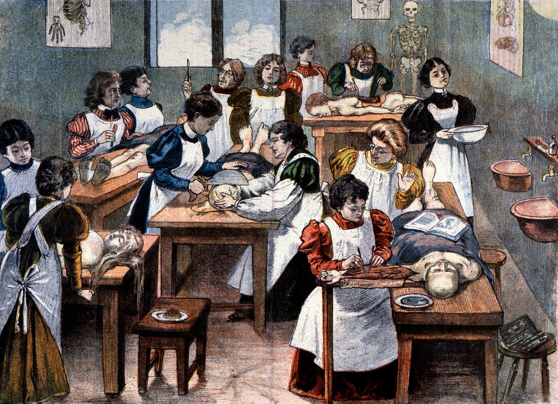 Dissection lesson,19th century