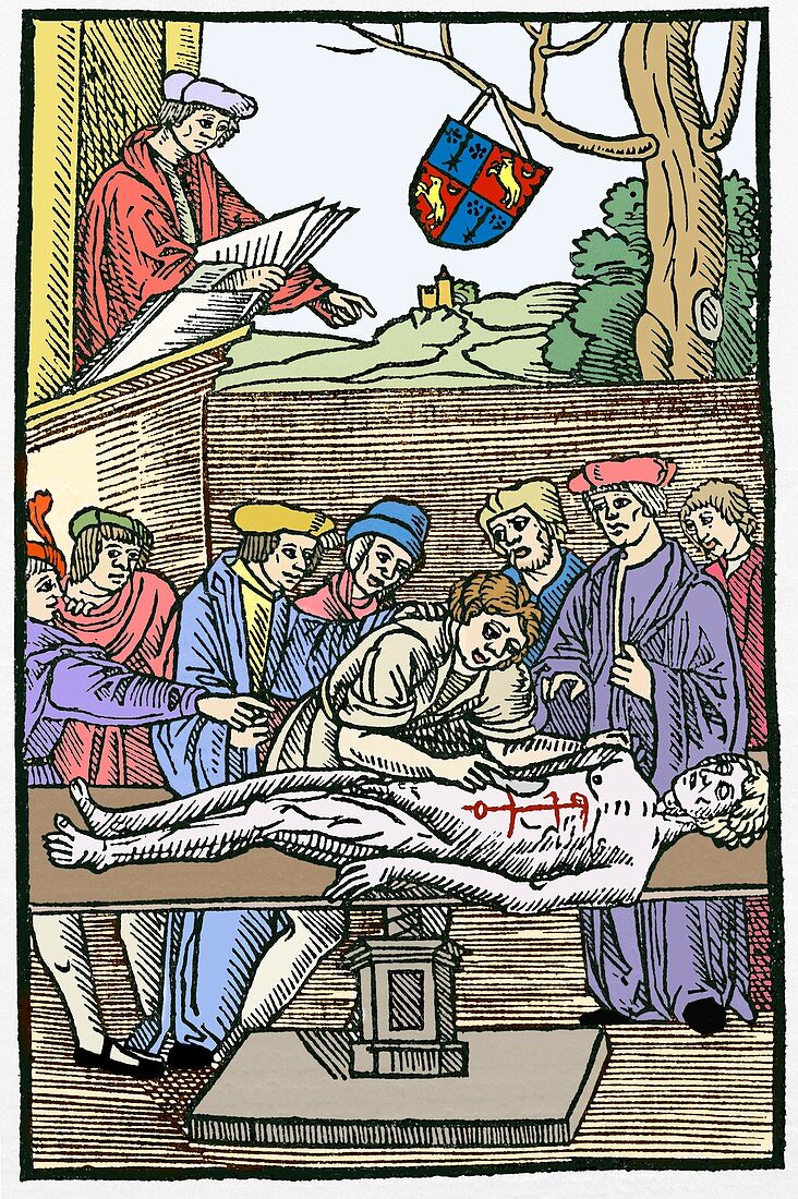 Mondino dissection,early 14th century