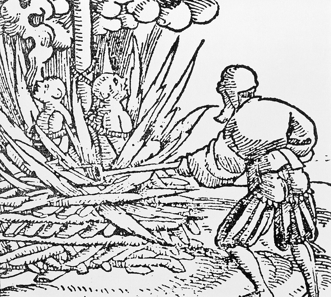 Medieval woodcut of plague-spreaders being burnt