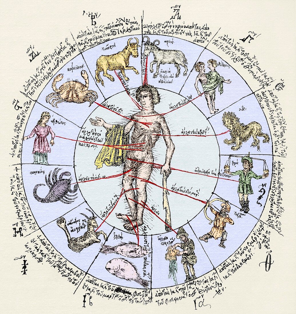 Medical zodiac,15th century diagram
