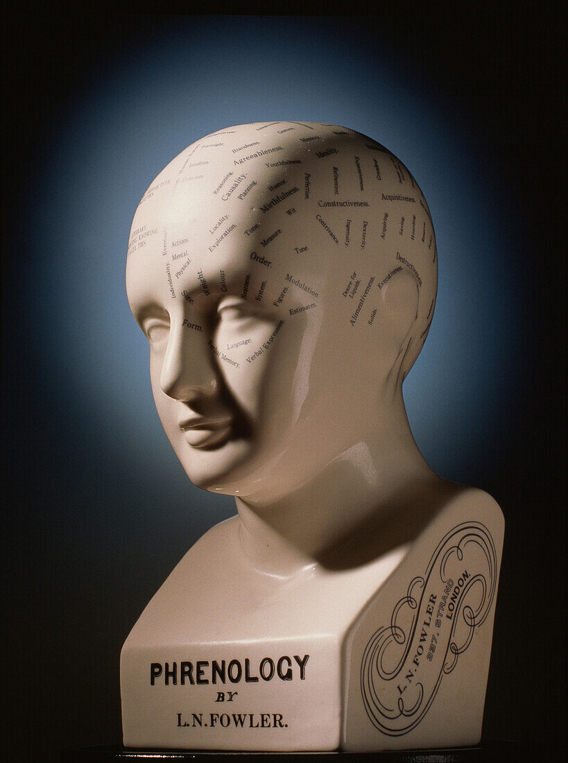 Phrenology bust by L.N. Fowler