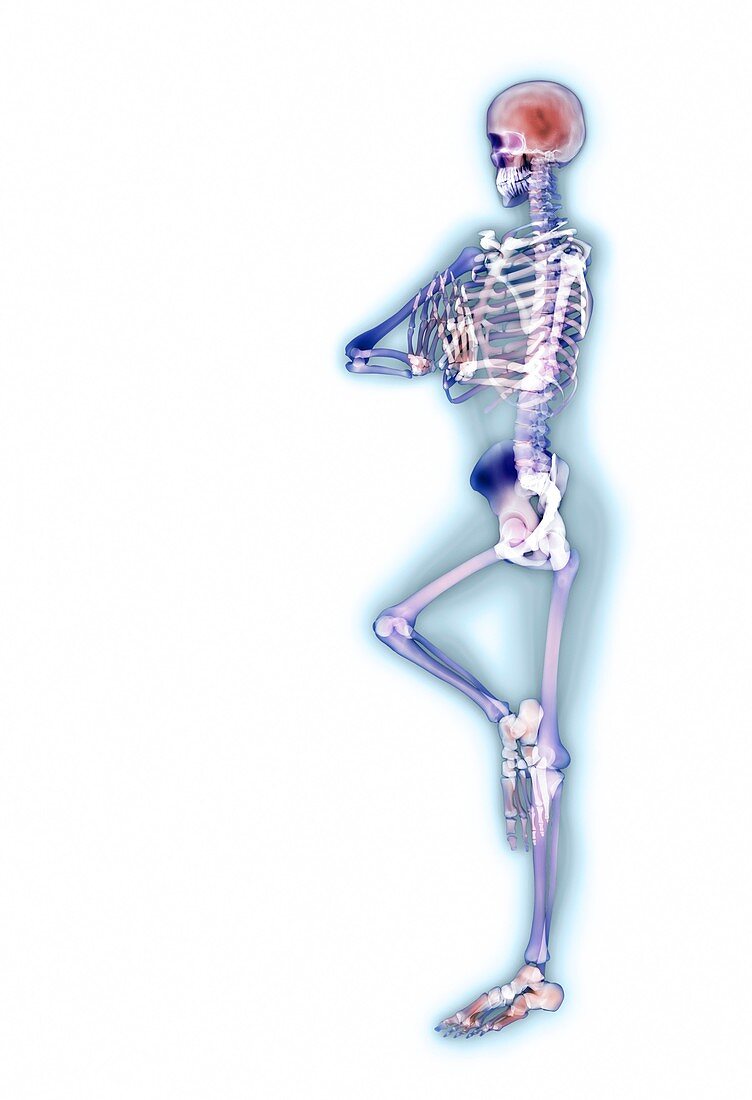 Yoga position,X-ray position