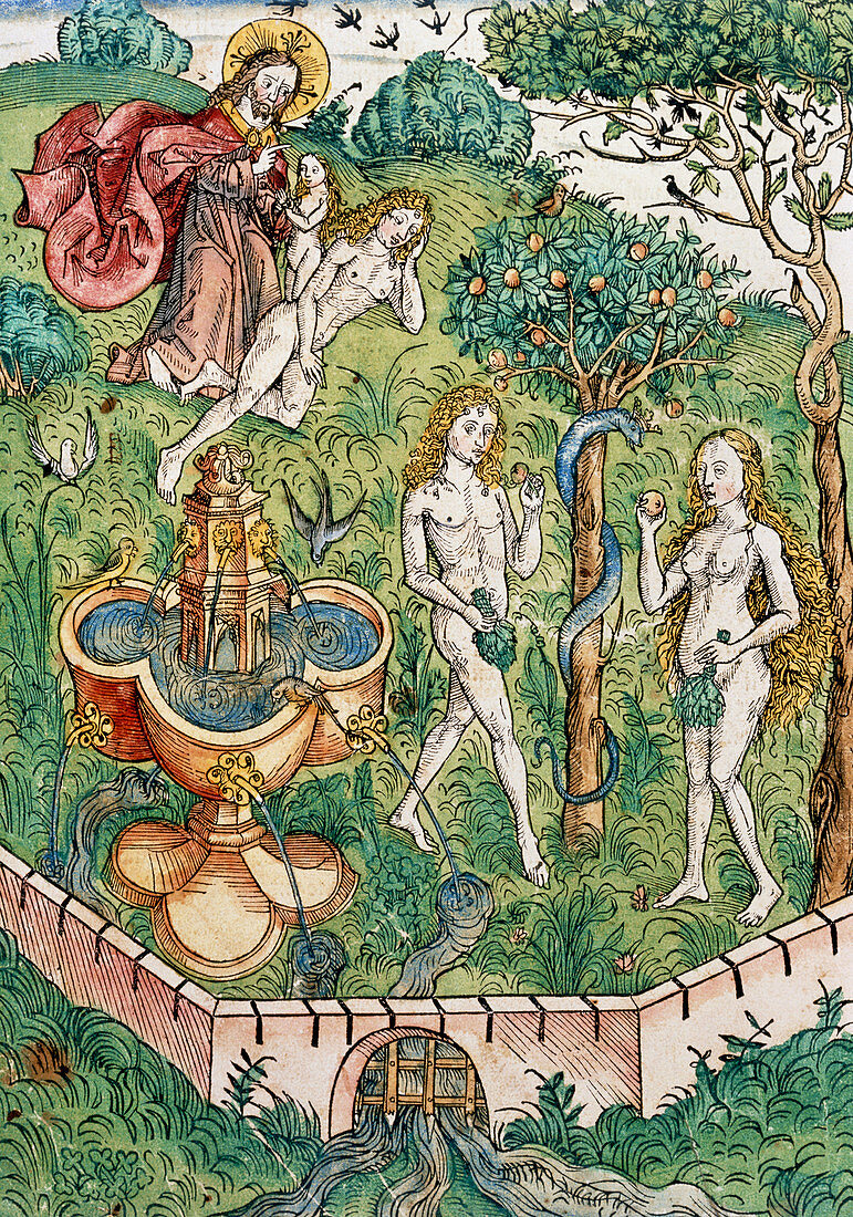 Illustration of Adam and Eve in the Garden of Eden