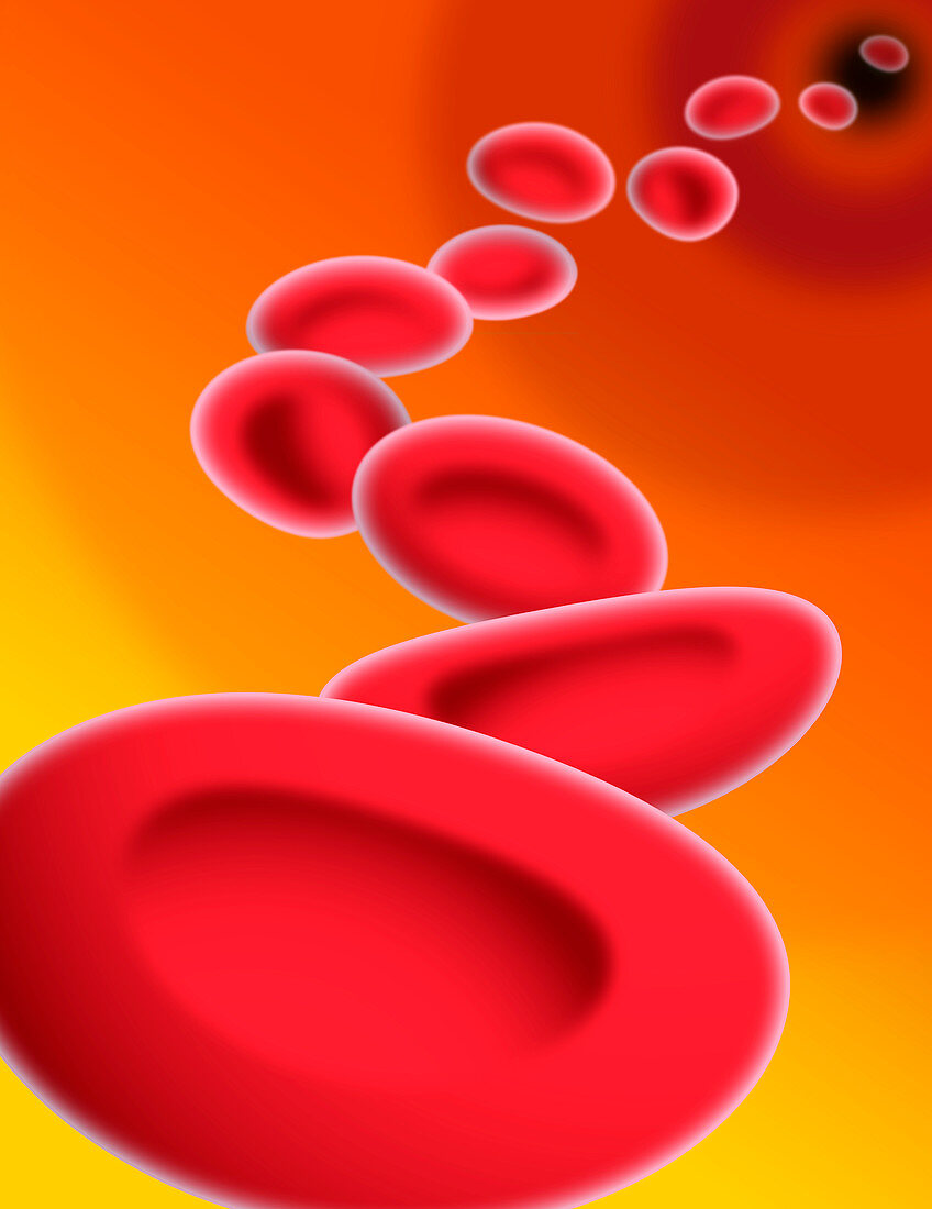 Red blood cells