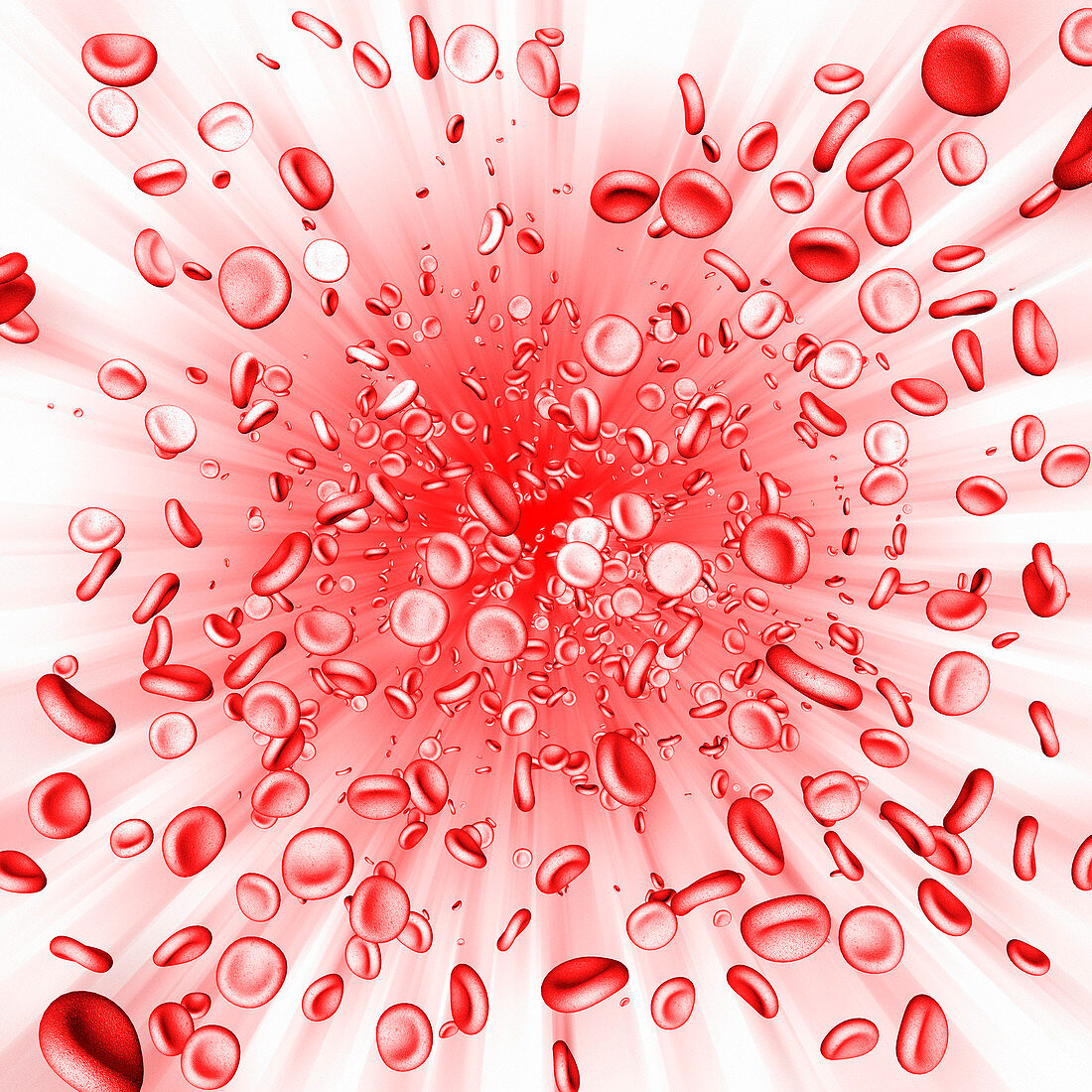 Red blood cells