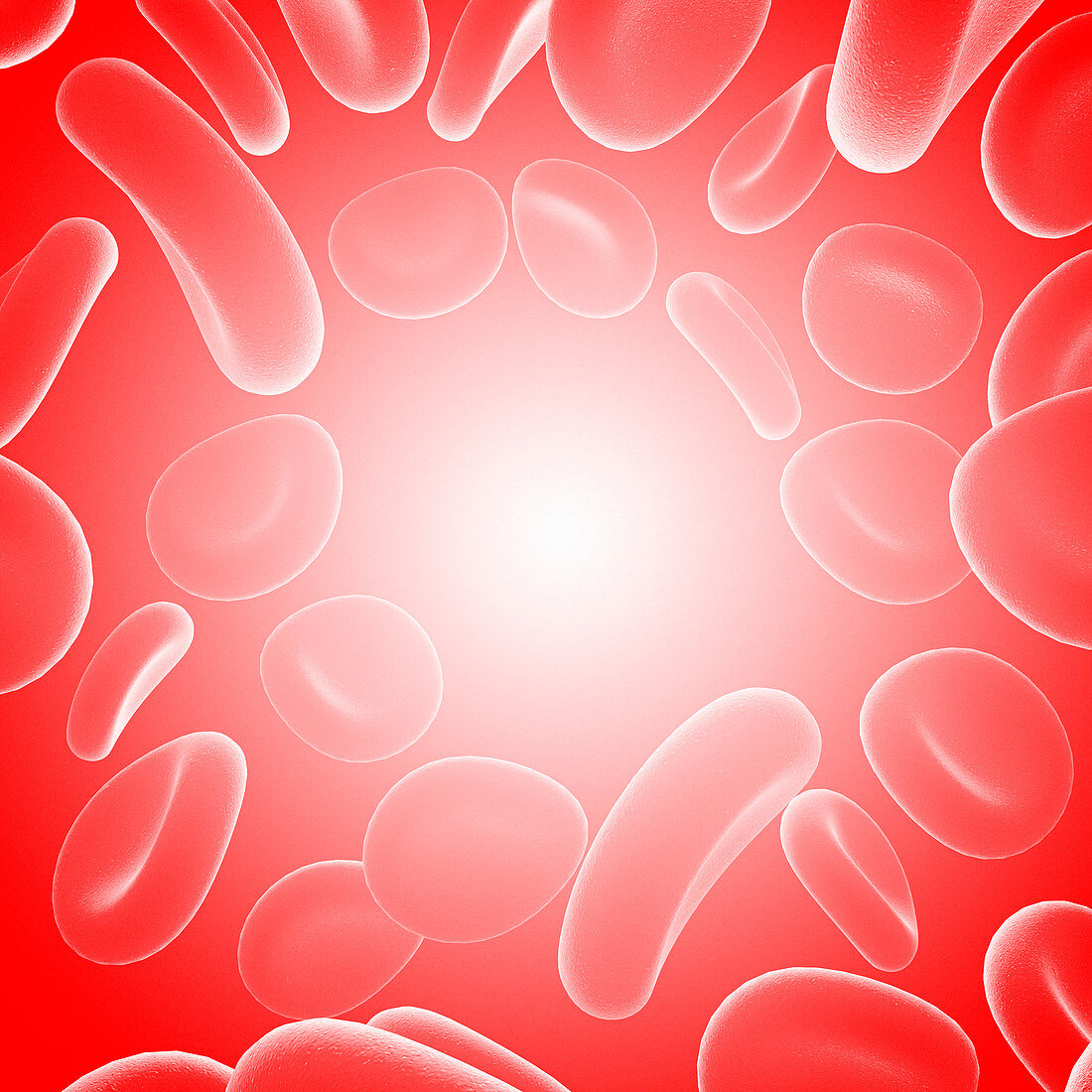 Red blood cells