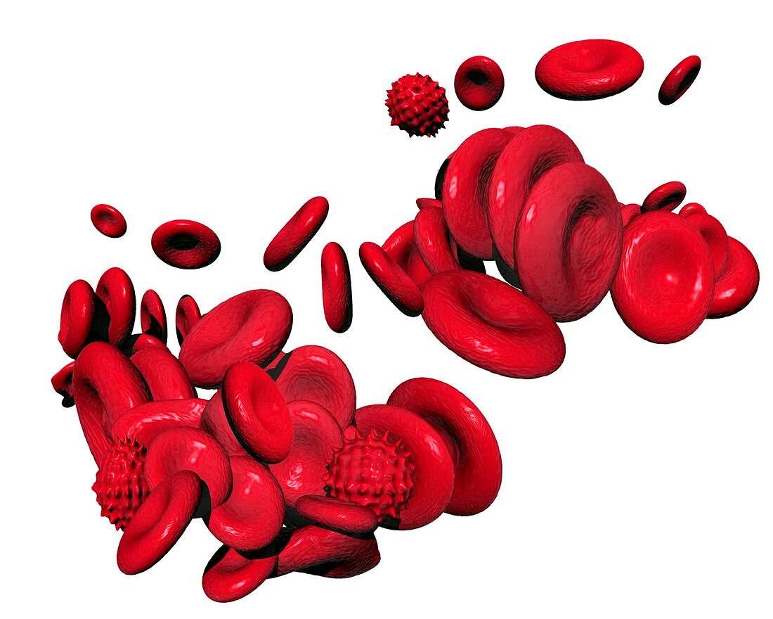 Red blood cells,computer artwork