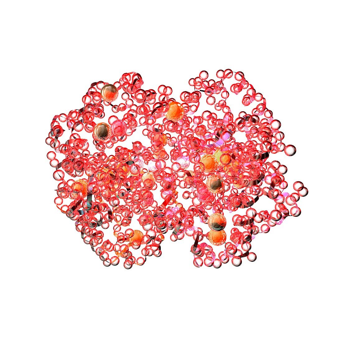 Haemoglobin molecule