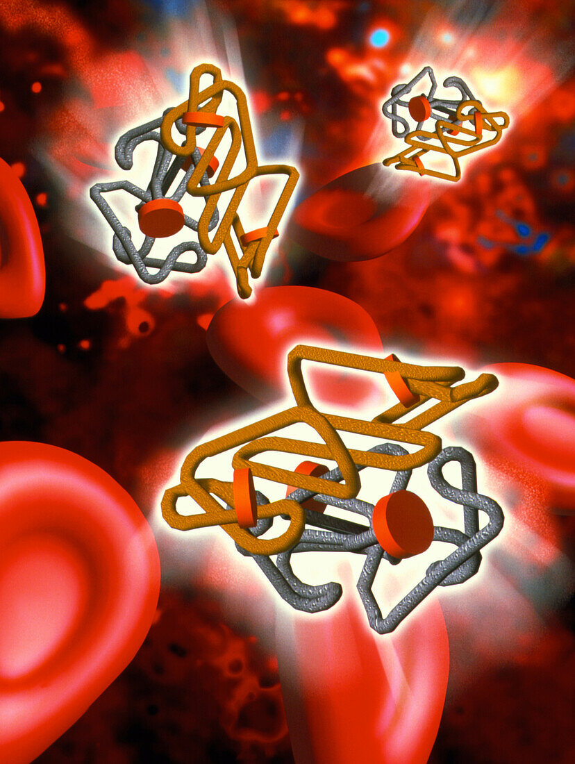 Computer art of haemoglobin and red blood cells