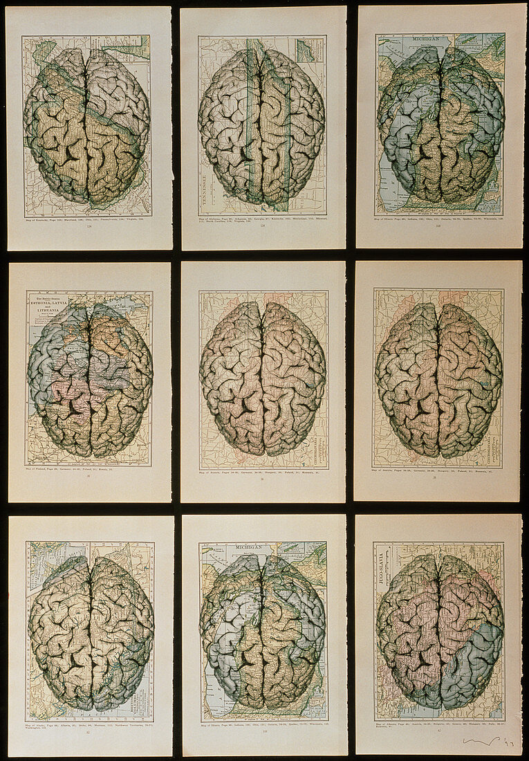 Artwork of 9 brain images on maps of the world
