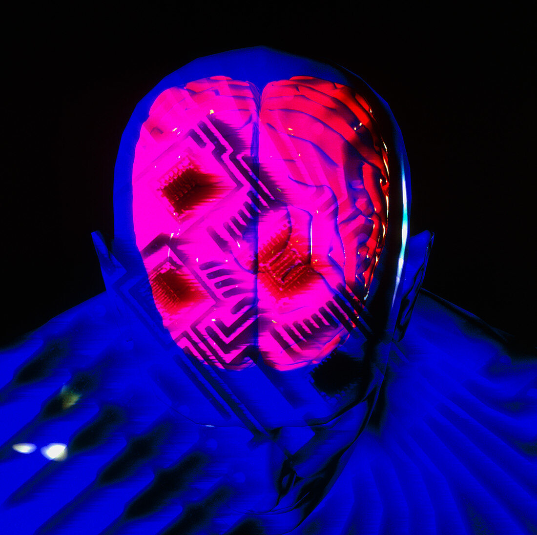 Computer artwork of human brain with microcircuits