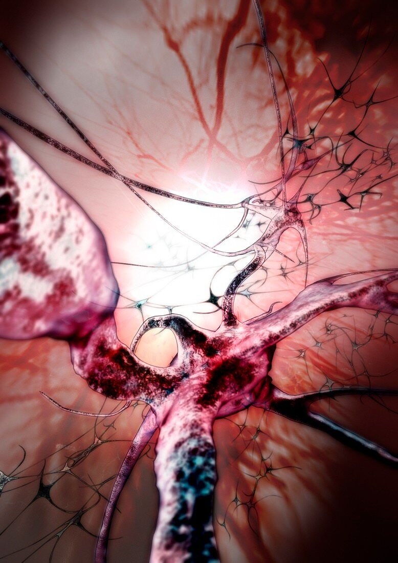 Nerve cells,computer artwork