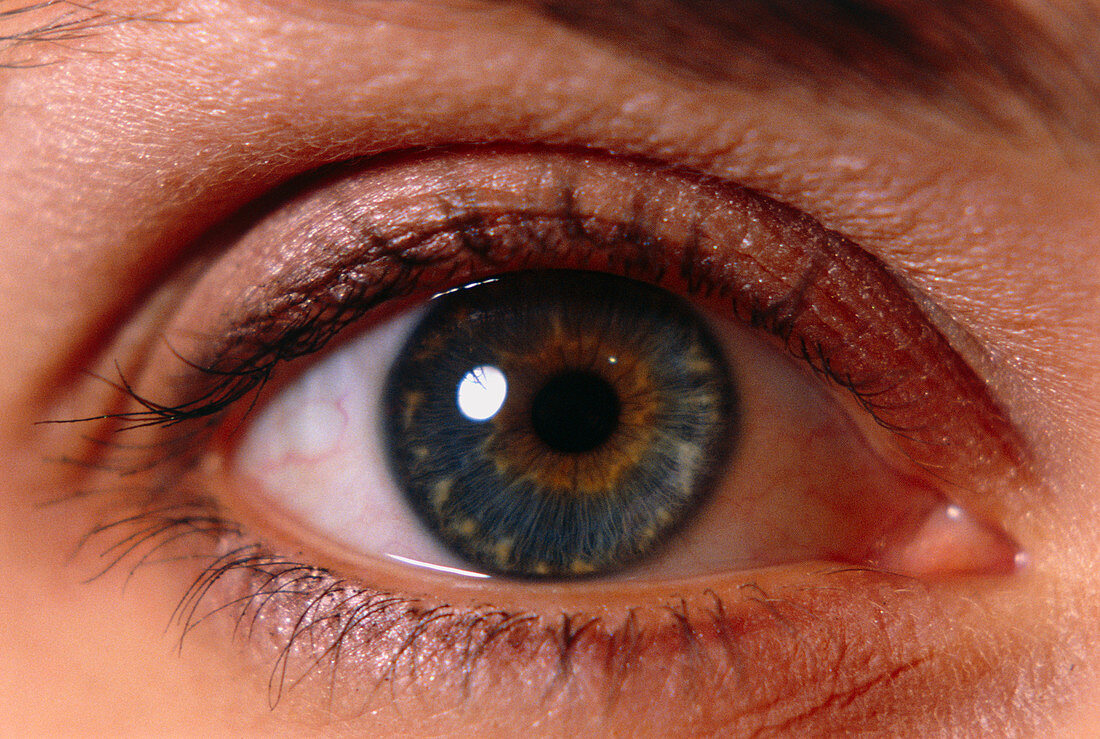 Close-up of the eye of a young woman