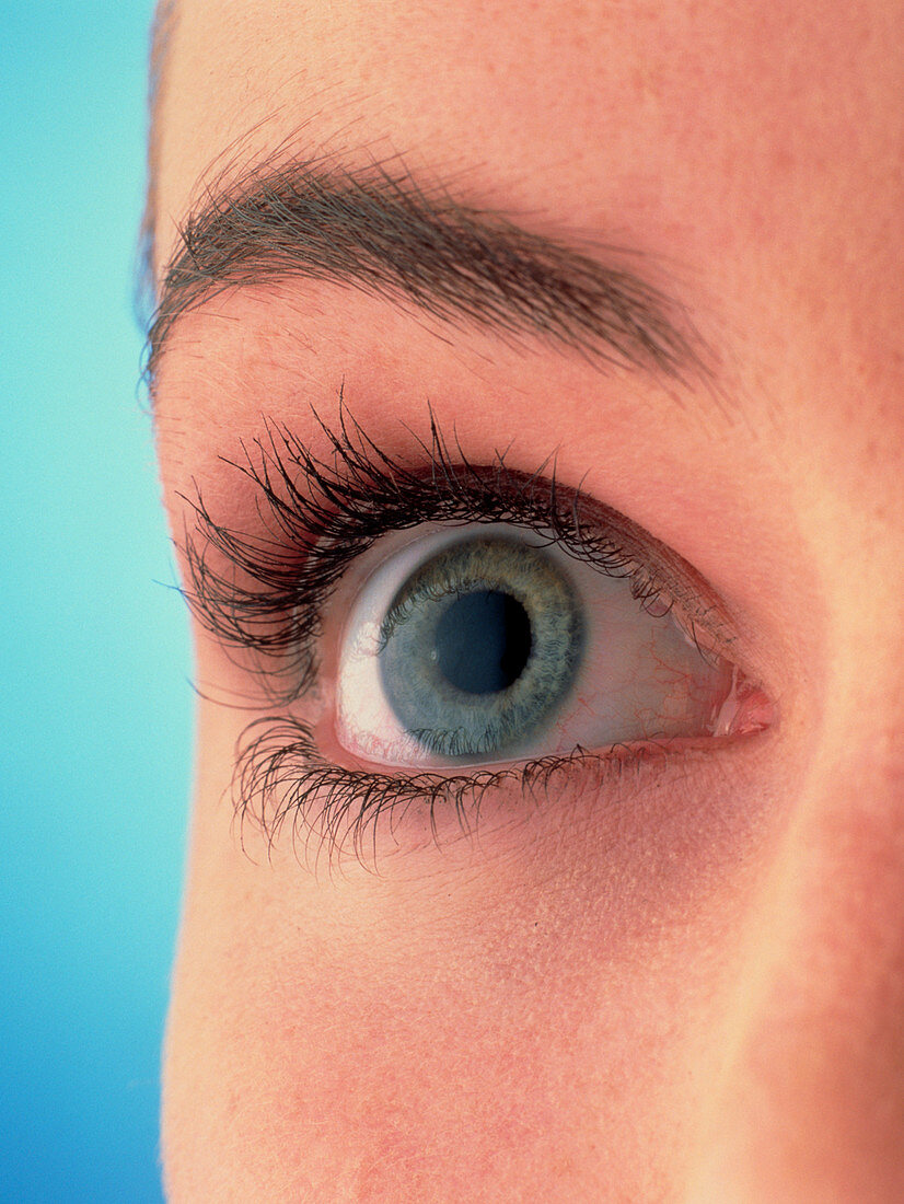 Close-up of a woman's blue eye (front view)