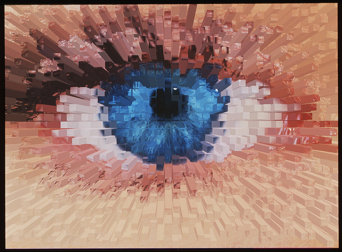 Computer graphic 3-D block image of a human eye
