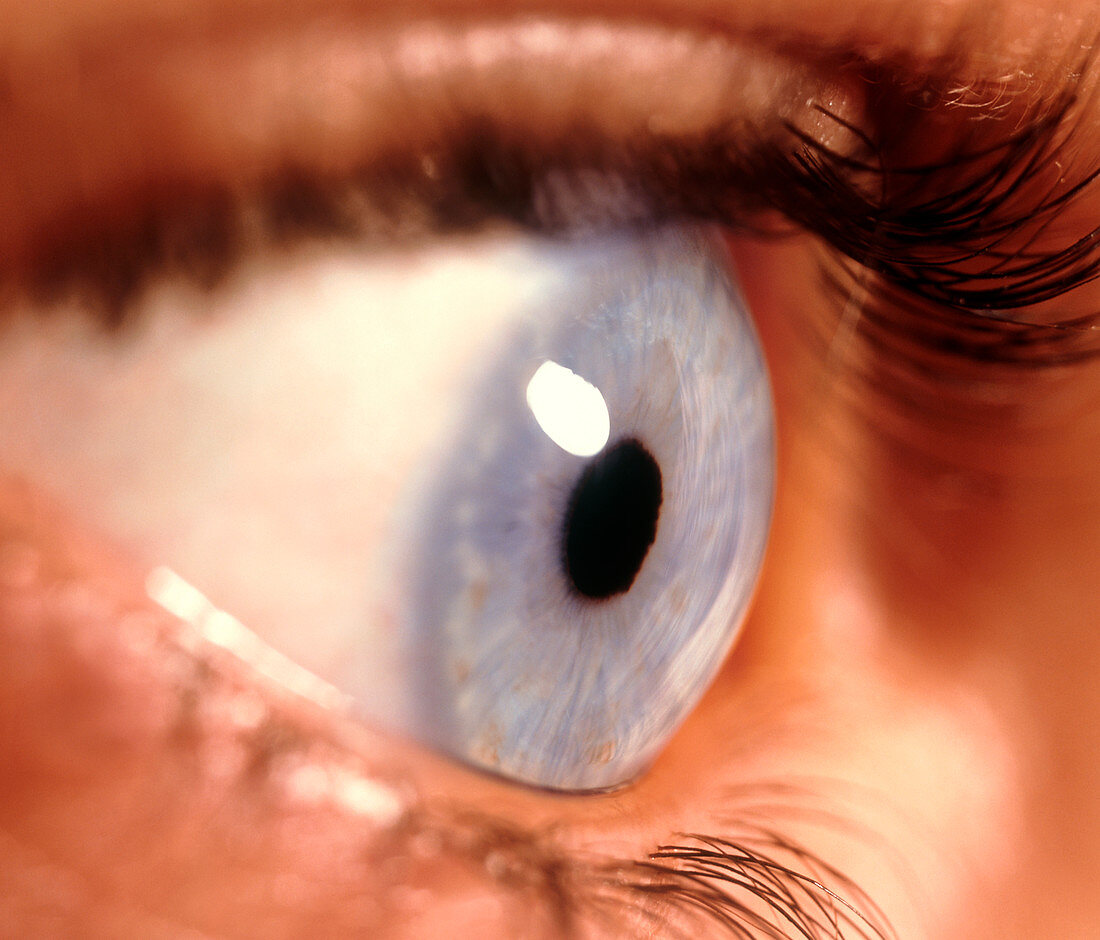 Side view of a woman's healthy blue eye