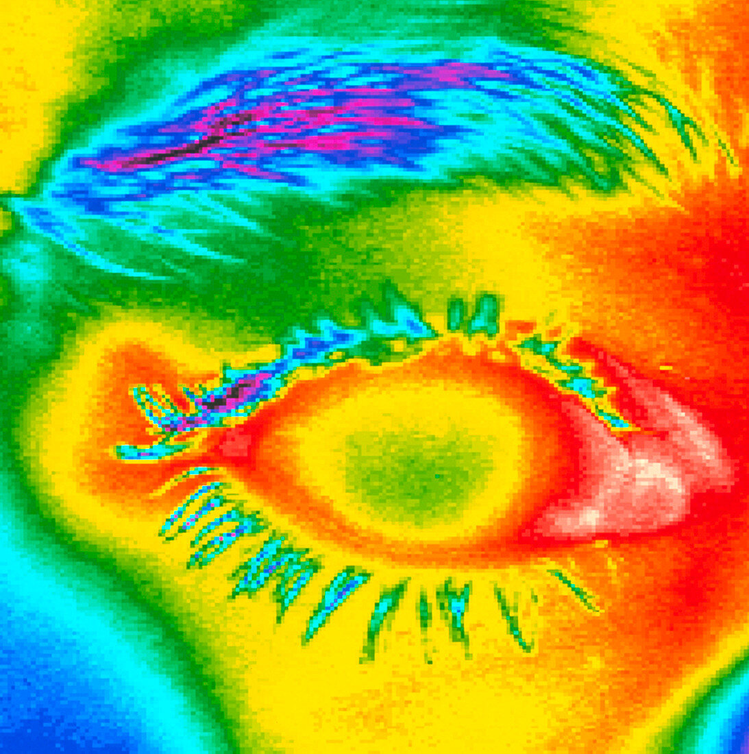 Thermogram of a close-up of a human eye
