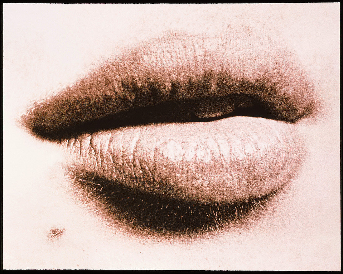 Close-up of the mouth of a woman (front view)