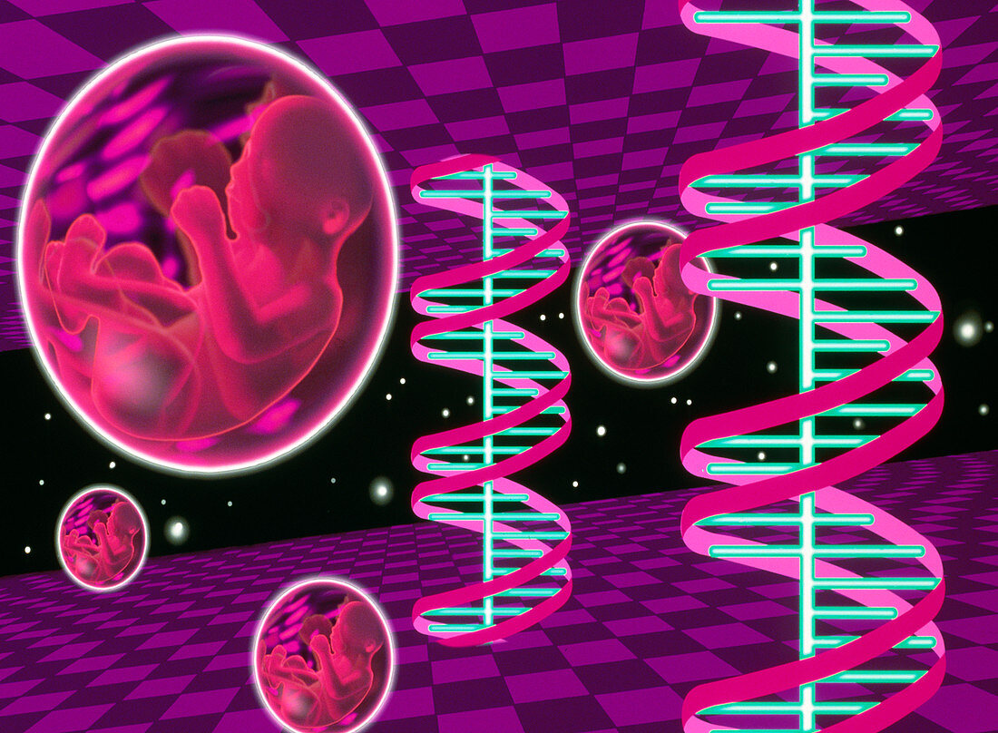Abstract artwork of foetuses and DNA