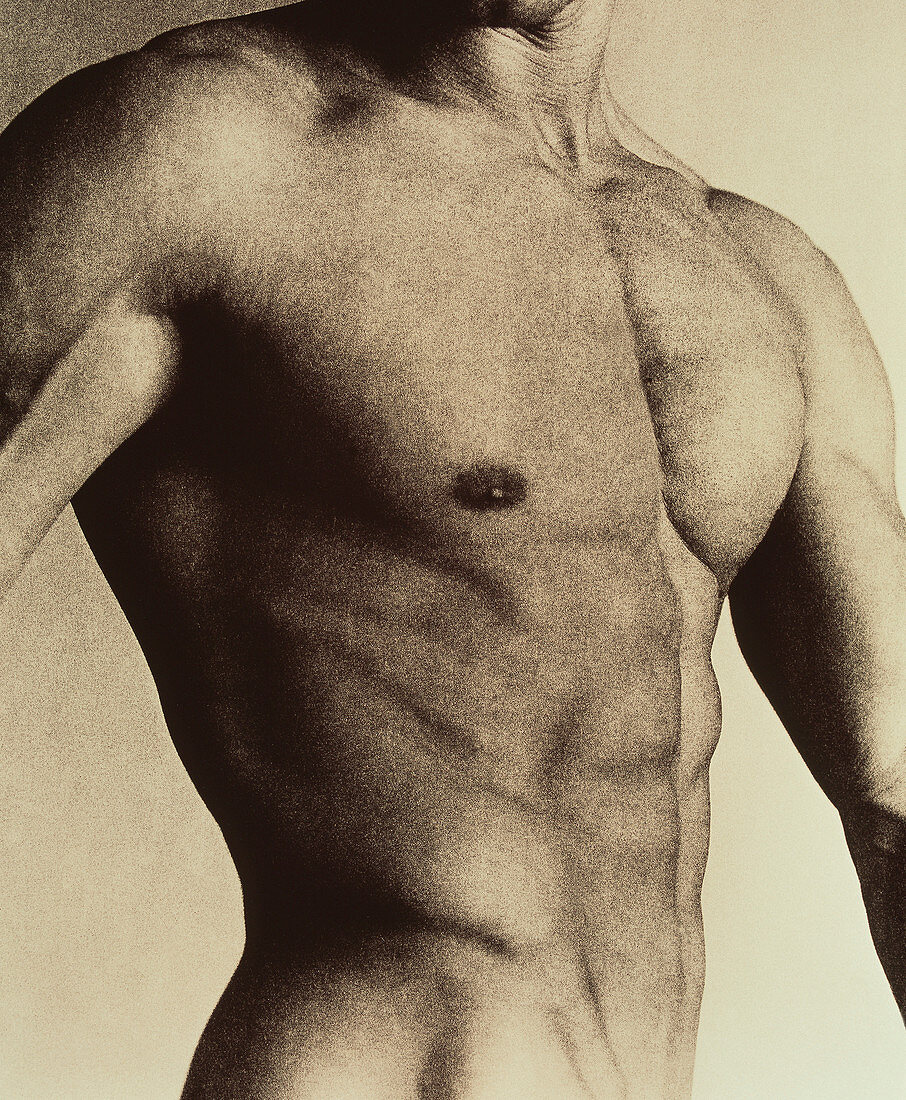 Nude man's torso