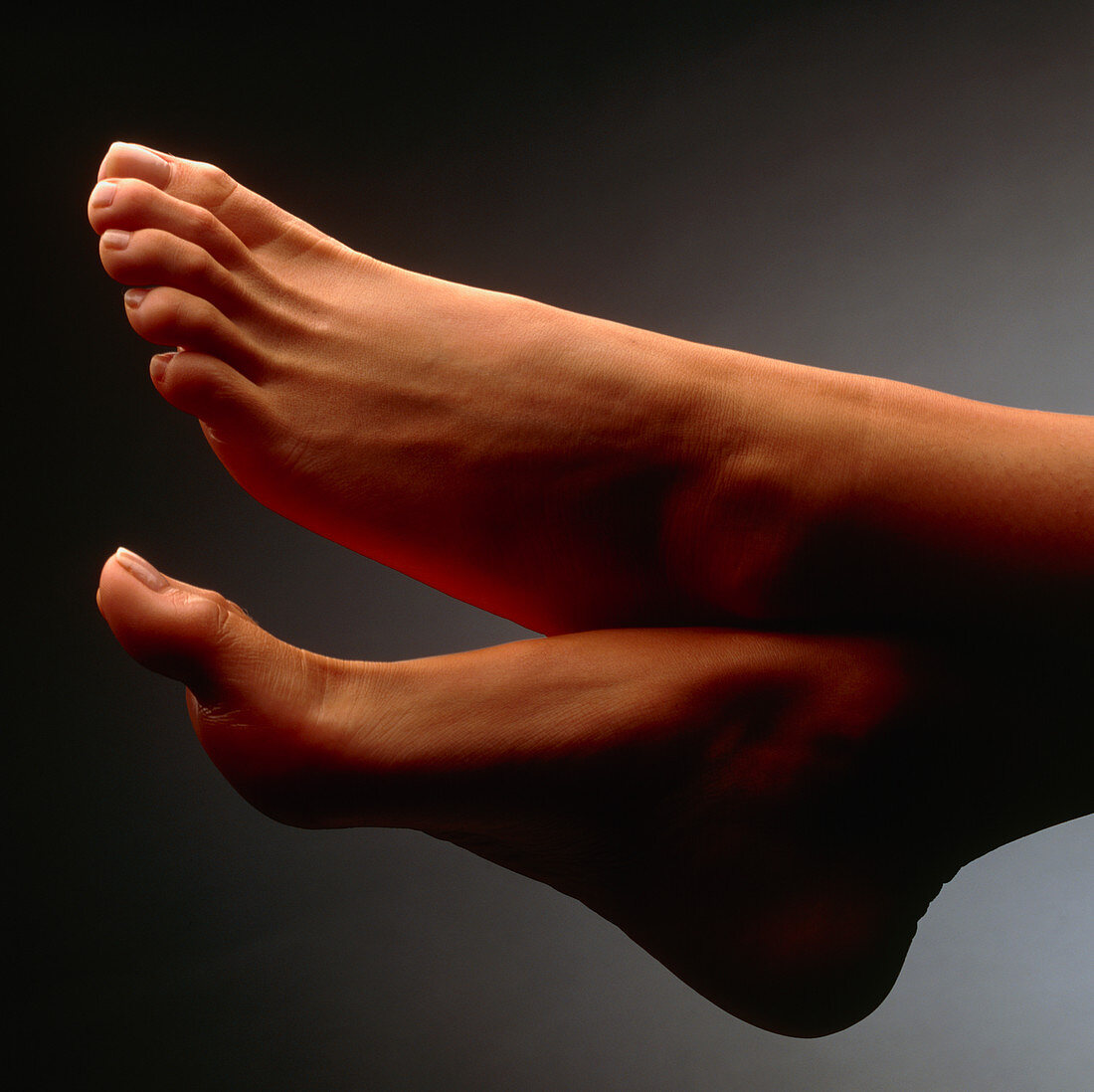 Side view of the healthy feet of a woman