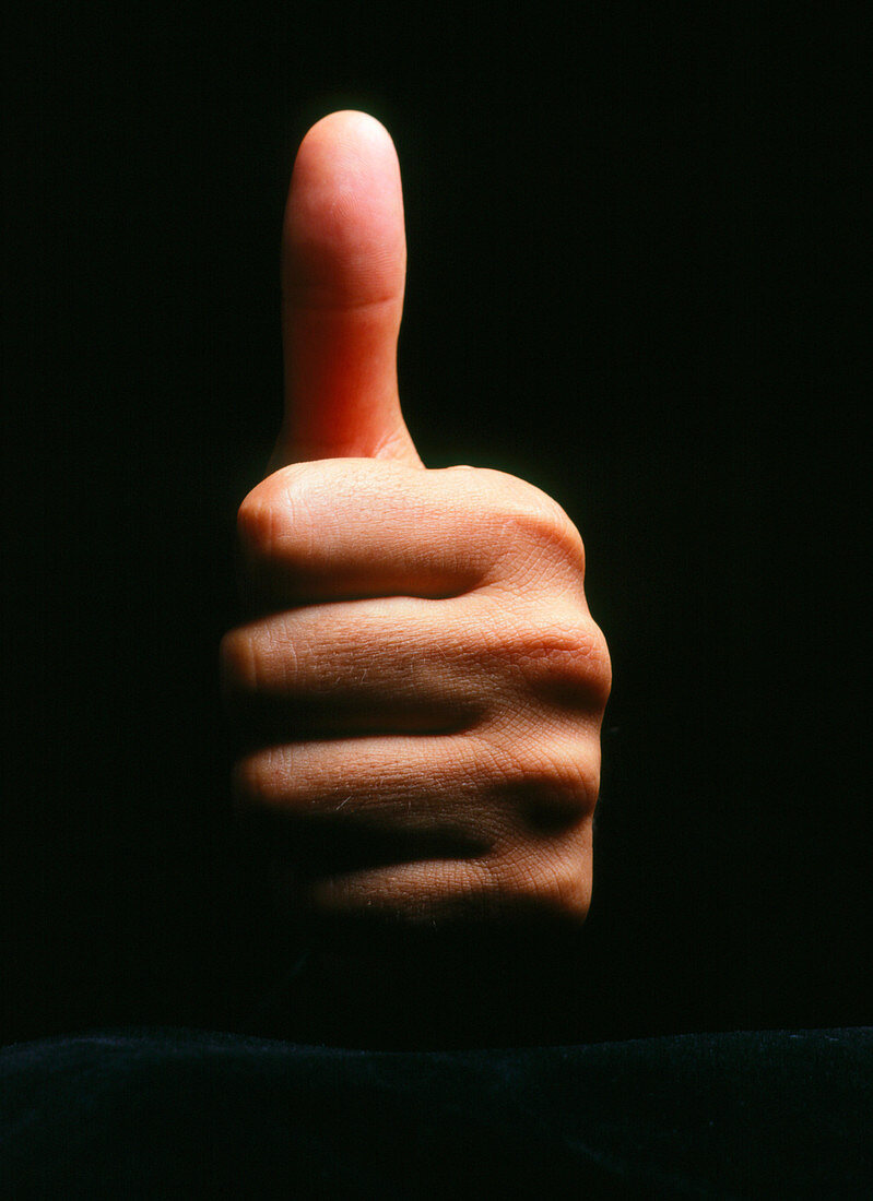 Male hand: tight fist with thumb held up