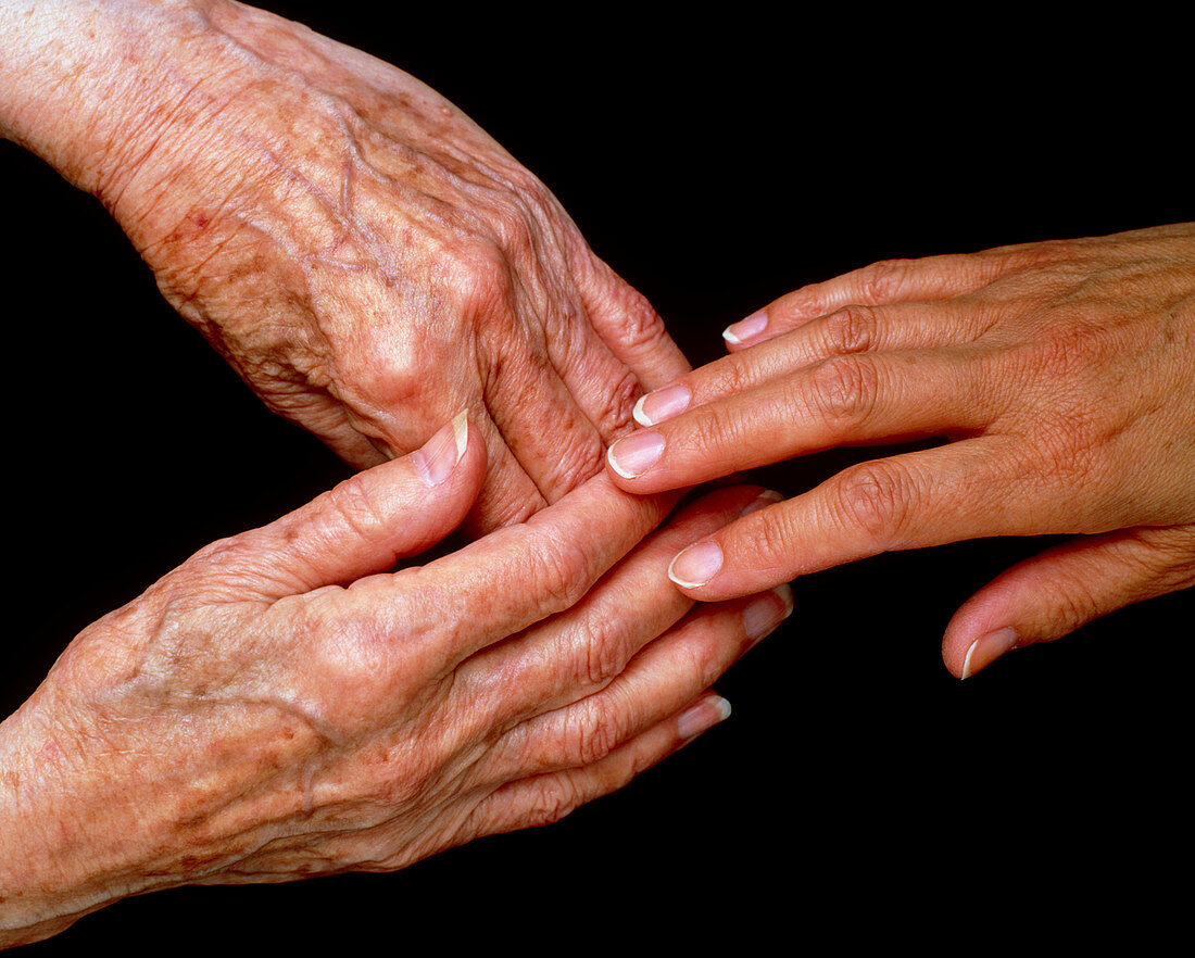 View of a young hand touching elderly hands