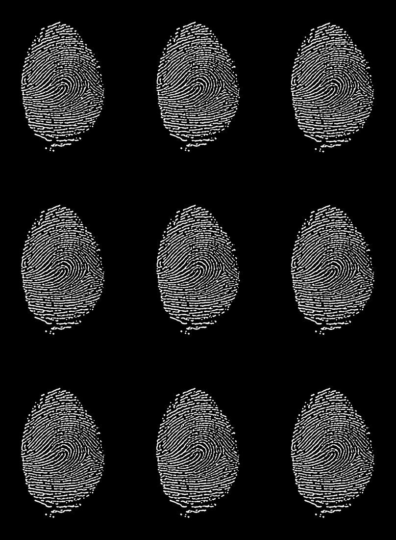 Human fingerprints