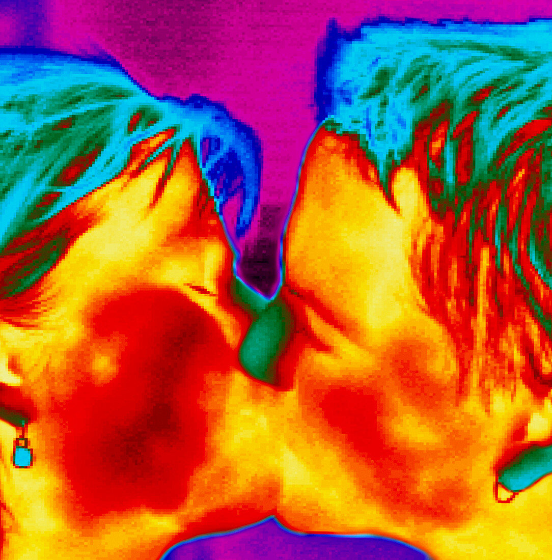 Thermogram of a man and woman kissing