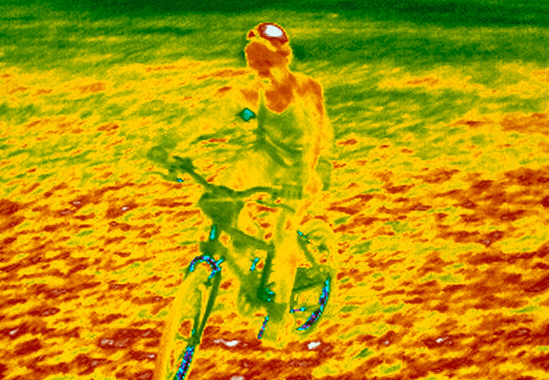 Child on bike,thermogram