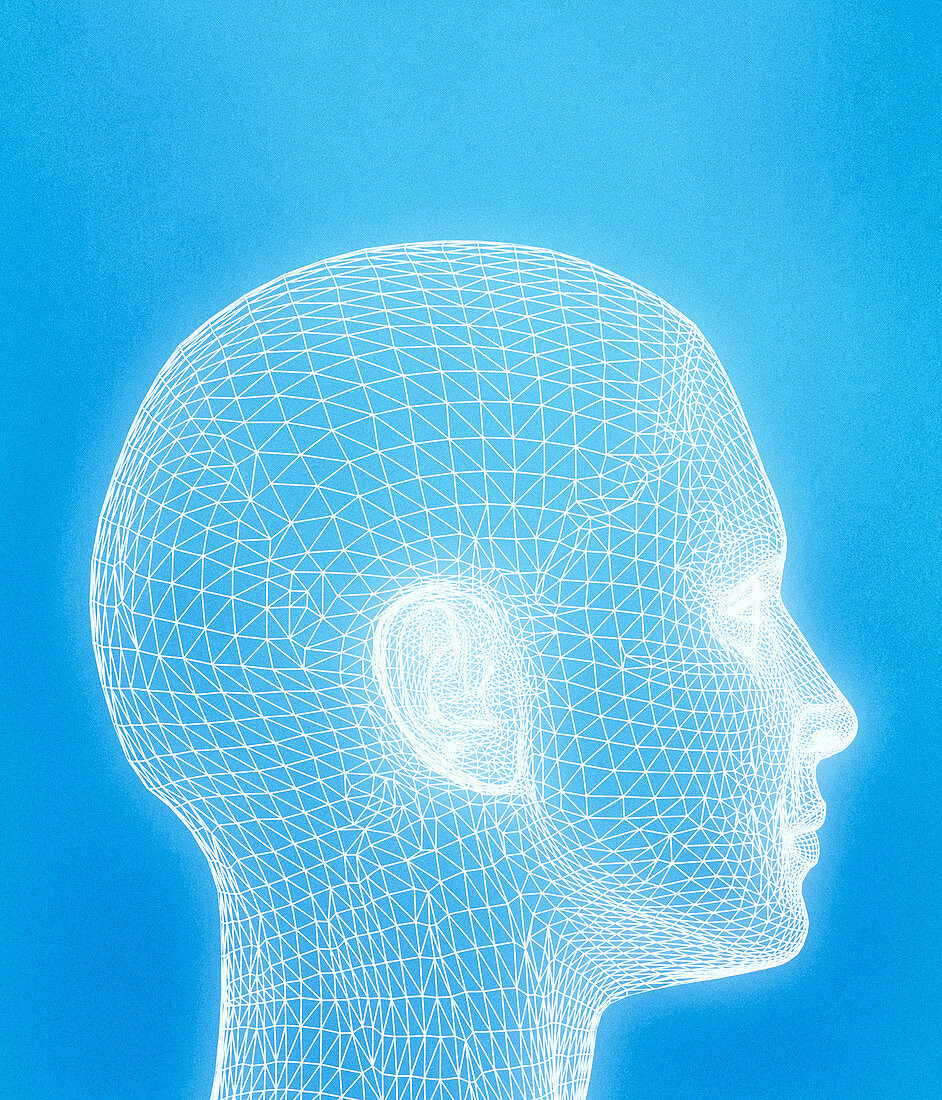 Woman's head,computer artwork