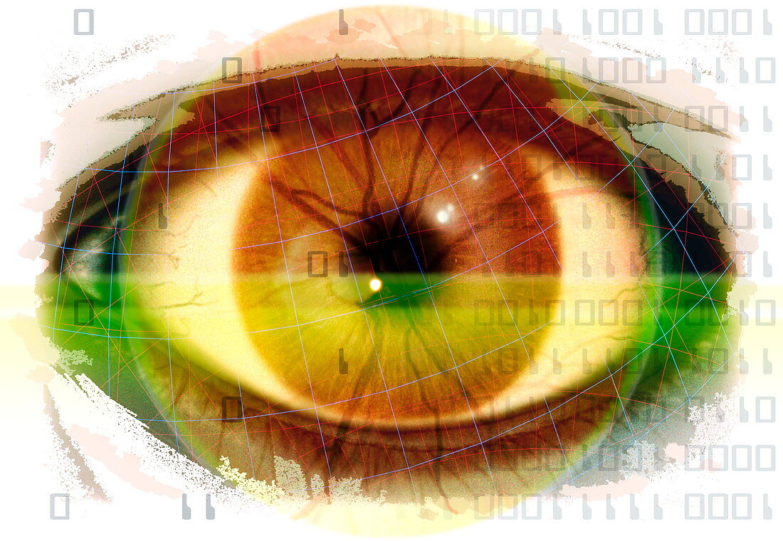 Eye scanning