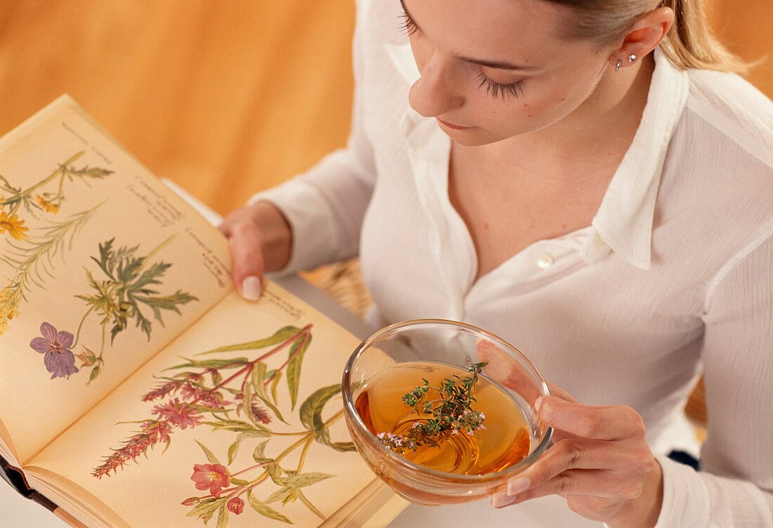 Herbal tea preparation