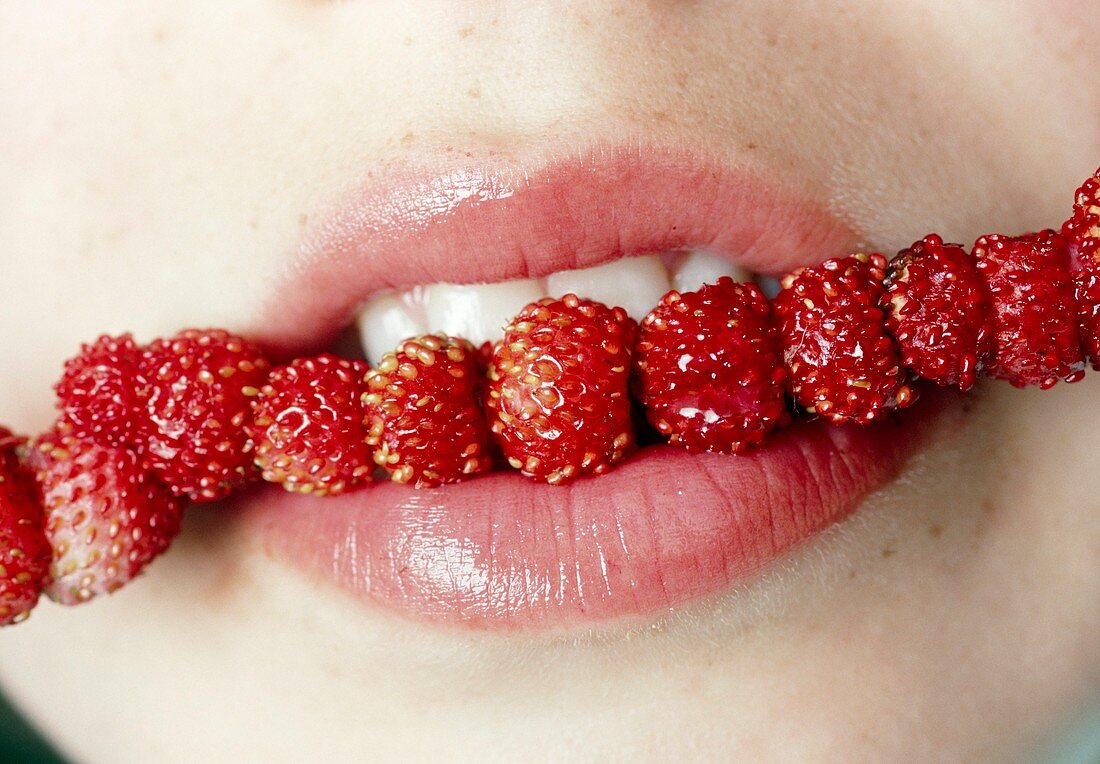 Woman eating wild strawberries