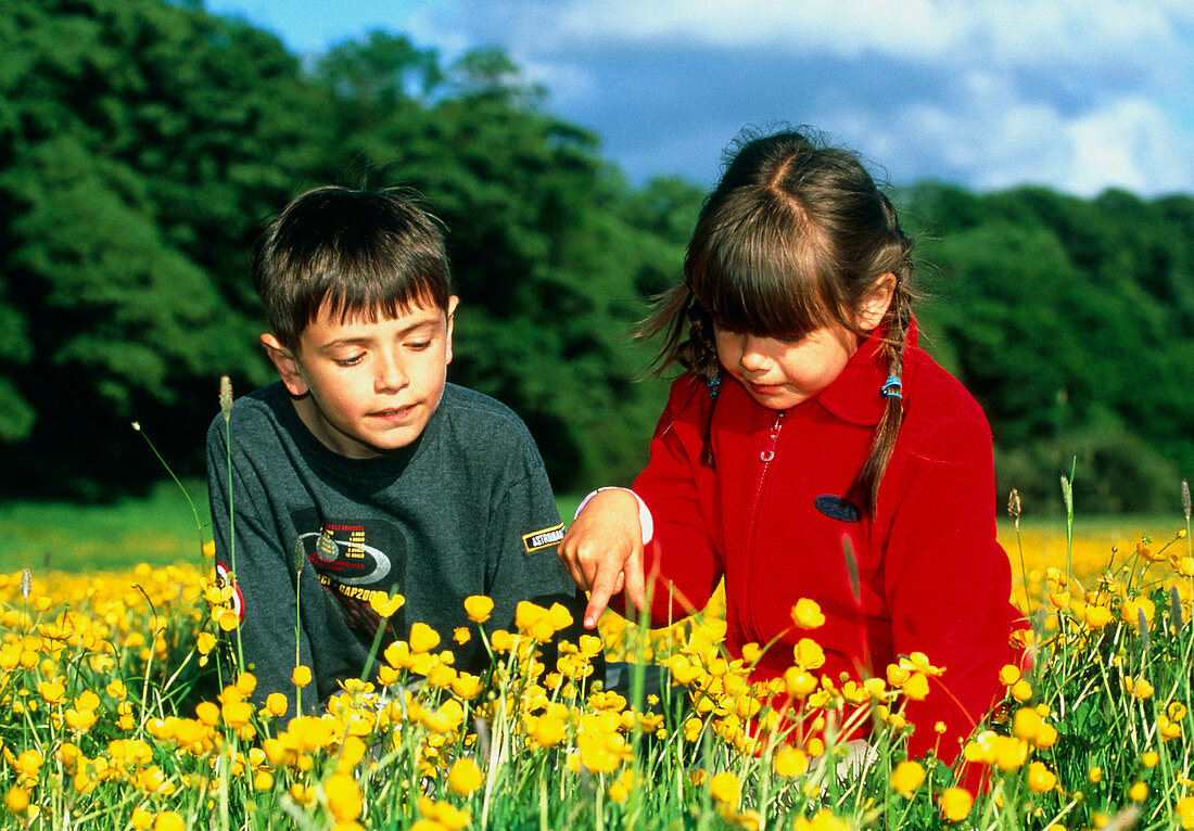 Children in a meadow