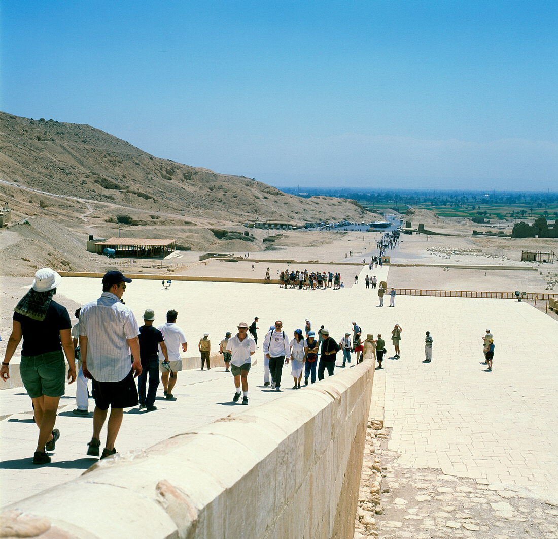 Tourists in Egypt